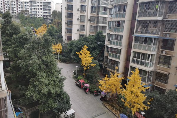 绵阳小区 三台县小区 梓锦新城小区 梓锦新城山水园