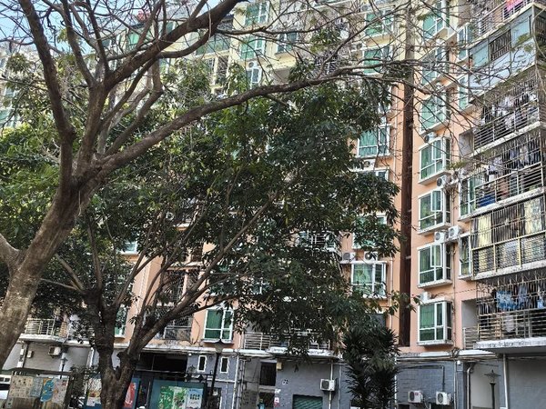 【多图】锦城星苑,龙岗中心城租房,龙岗新生 锦城星苑7房2厅3卫 办公