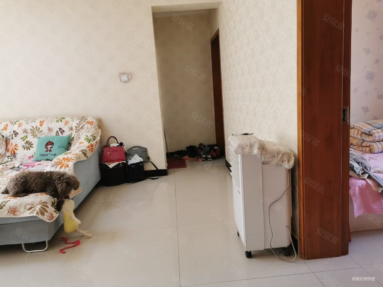 东湖市委家属院3室2厅1卫80㎡南北48万