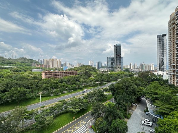 深圳南山华侨城绿景美景广场绿景美景一居室 带衣帽间 豪装全新舒适