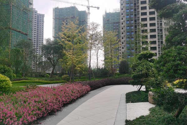 金府名门,阜成路东段-眉山金府名门二手房,租房-眉山安居客