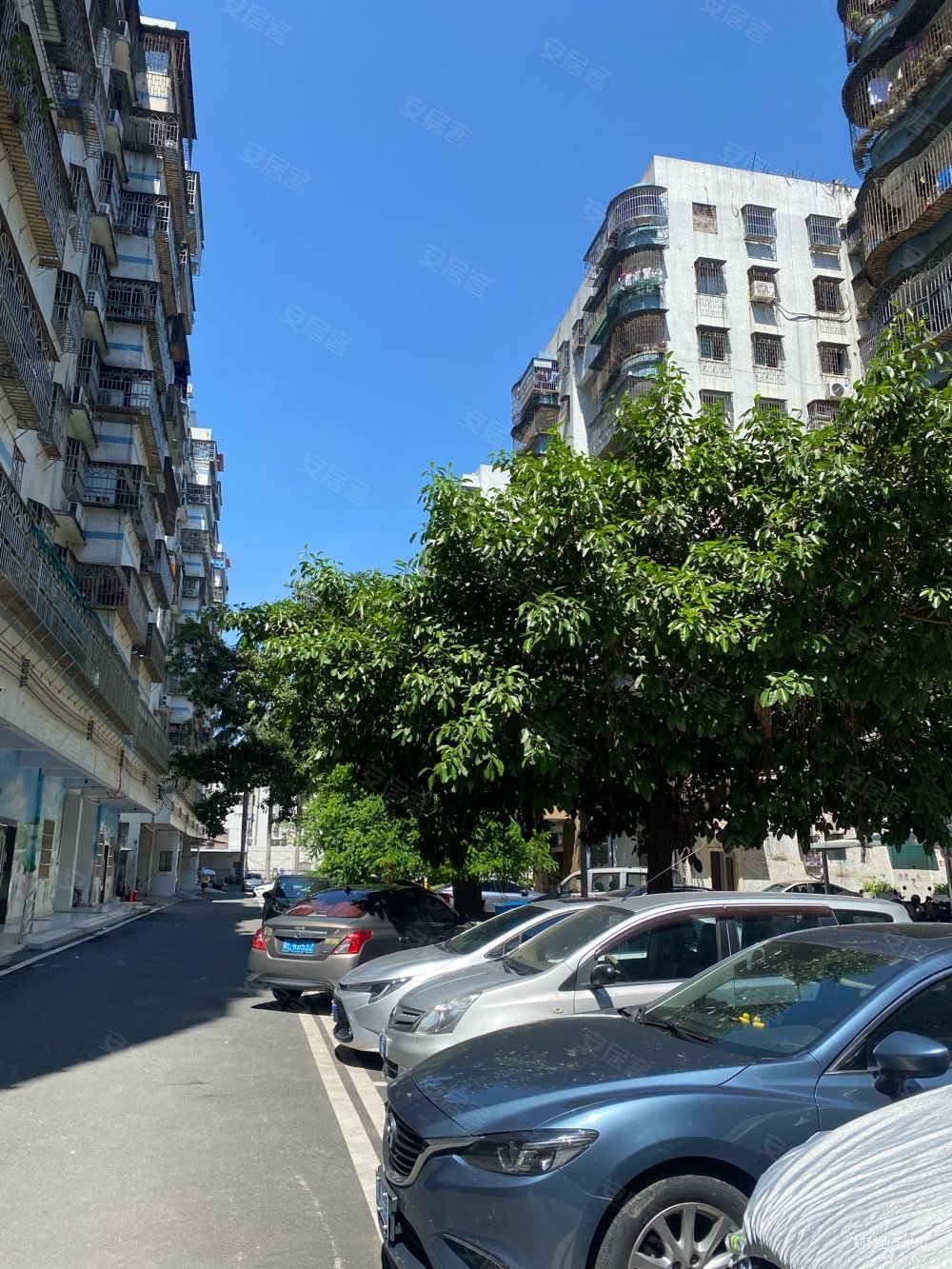 金山城小区3室2厅1卫109㎡南北75万