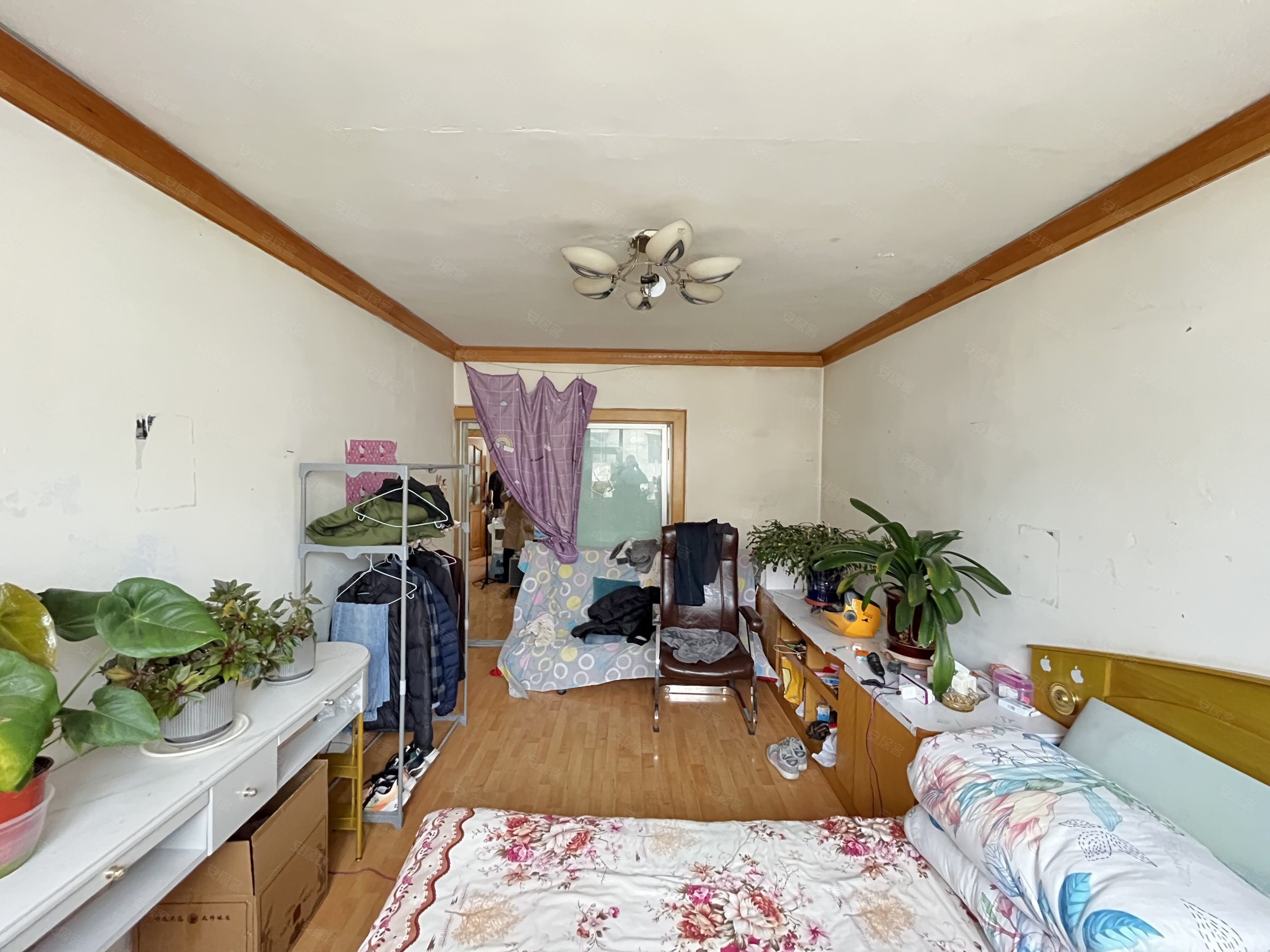 一安家属院2室2厅1卫72.5㎡南北94万