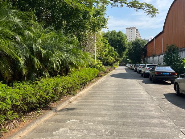 德宏芒市人民商场园丁小区广场旁园丁小区步梯四楼三室两厅两卫出租