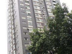 曲靖陆良西门街鑫城国际 3室1厅1卫出租房源真实图片