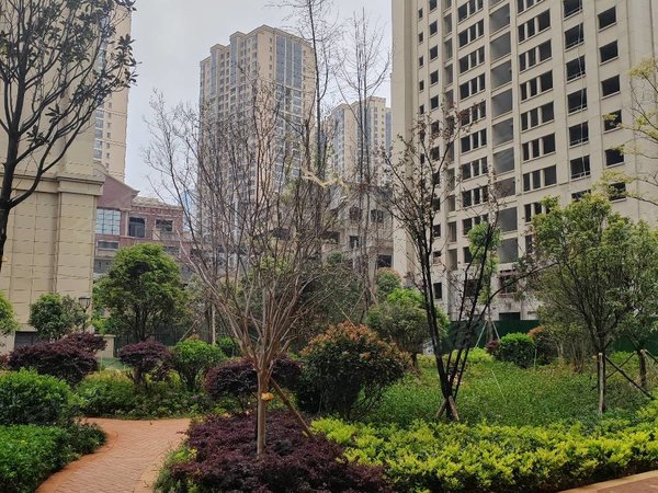 【多图】新时代广场,北市区租房,北市区小康大道上精装修两房带家具