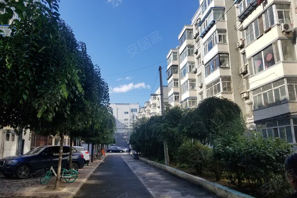 乐园小区(红艳路)周边房产中介经纪人评价-沈阳安居客