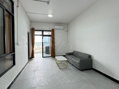 东莞桥头桥头城区朗厦新村自建房 2室1厅1卫  电梯房 精装修68平米出租房源真实图片