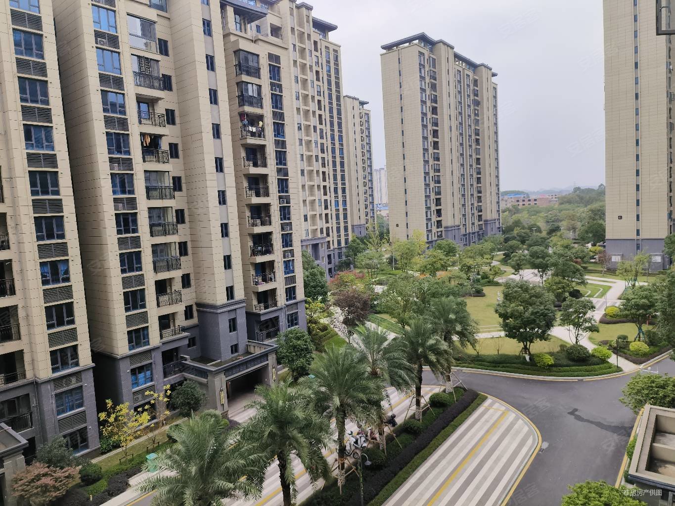 急售桂林碧桂园精装三房未入住一梯一户南北通透仅售58万