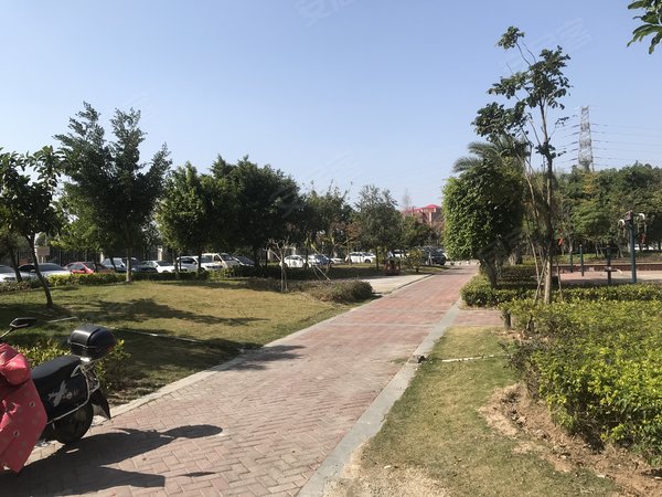 泉州晋江世茂御龙湾绿洲花园绿洲花园 绿洲公园对面 世纪大道边 精装