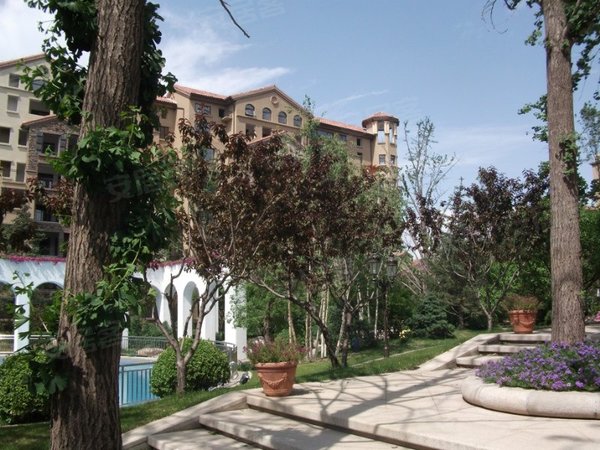 北京昌平小汤山北金科帕提欧(别墅)金科帕提欧  精装联排别墅  双车位