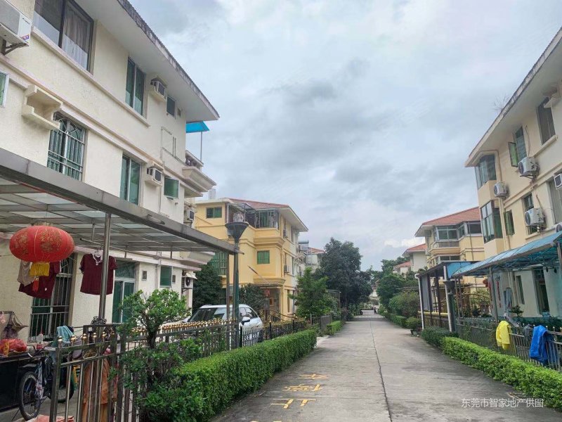 丽城花园,朝南大3房,中间楼层,自住精装保养好,无欠款诚意卖