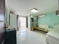 文灶brt地铁口 九龙城电梯高层 精装单身公寓带阳台朝南