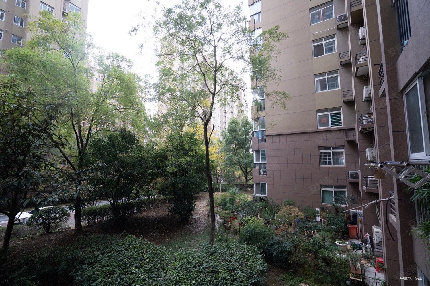 滨湖南丽湾3室1厅1卫91.09㎡南北142万