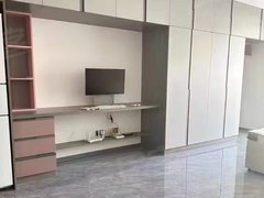 牡丹江东安会展中心短租江南星河传说迪娜公寓电梯5楼一室一厅一卫家具家电全出租房源真实图片