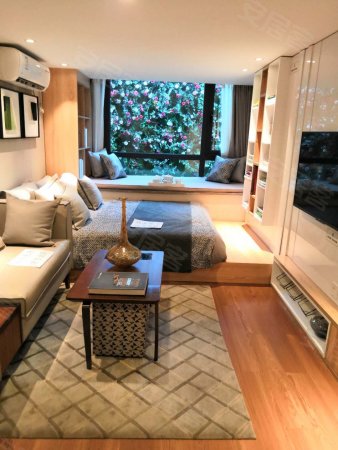 南三环鑫苑名城双地铁精装平层 小面积loft 一级物业