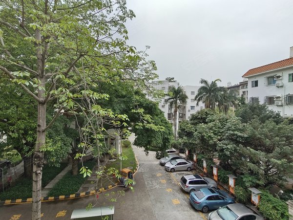 深圳南山蛇口海滨花园(南山)海上世界旁,海滨花园,东南向两房,出租,近