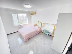 北京朝阳潘家园潘家园地铁10号线 华威北里一居室 有空调出租房源真实图片