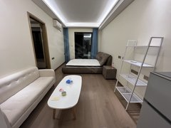 深圳龙岗平湖佳兆业精装一房两厅拎包入住出租房源真实图片