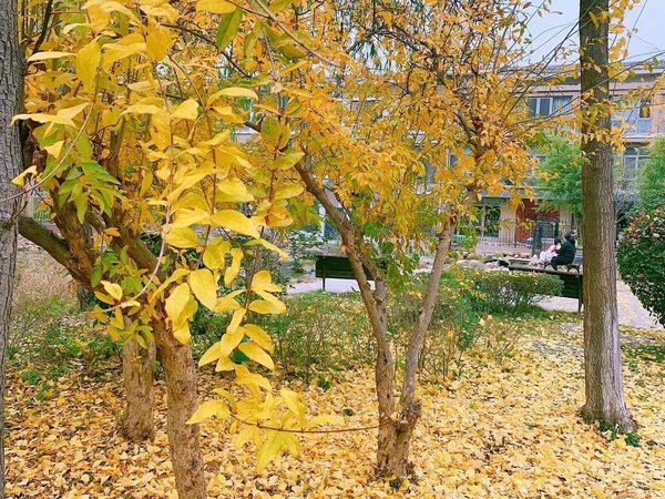 【多图】翡翠岛,万达广场租房,翡翠岛 3室2厅2卫,相山租房-淮北58安居