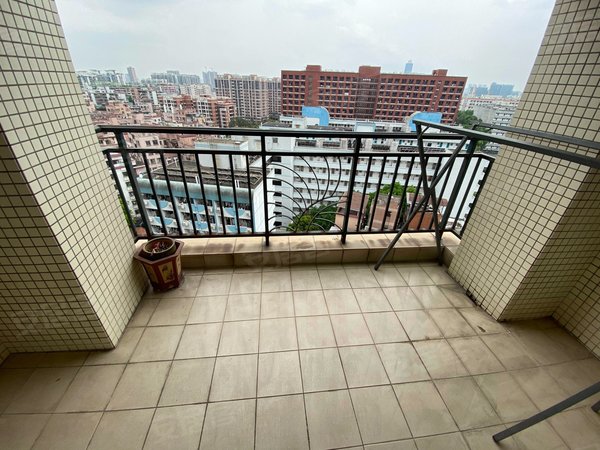 【多图】蓝色康园,滨江东租房,蓝色康园 3室2厅1卫精装修 配套齐全