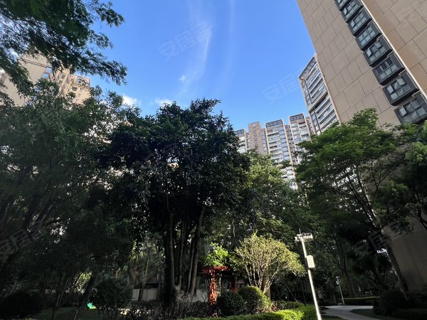 【多图】绿海湾,后海租房,绿海湾 深圳湾豪宅 南北双阳台 新装修 实用