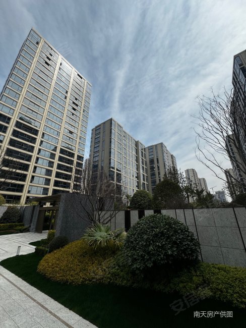 有钥匙河景房可看樱花公园双地铁口新房豪装滨江誉品