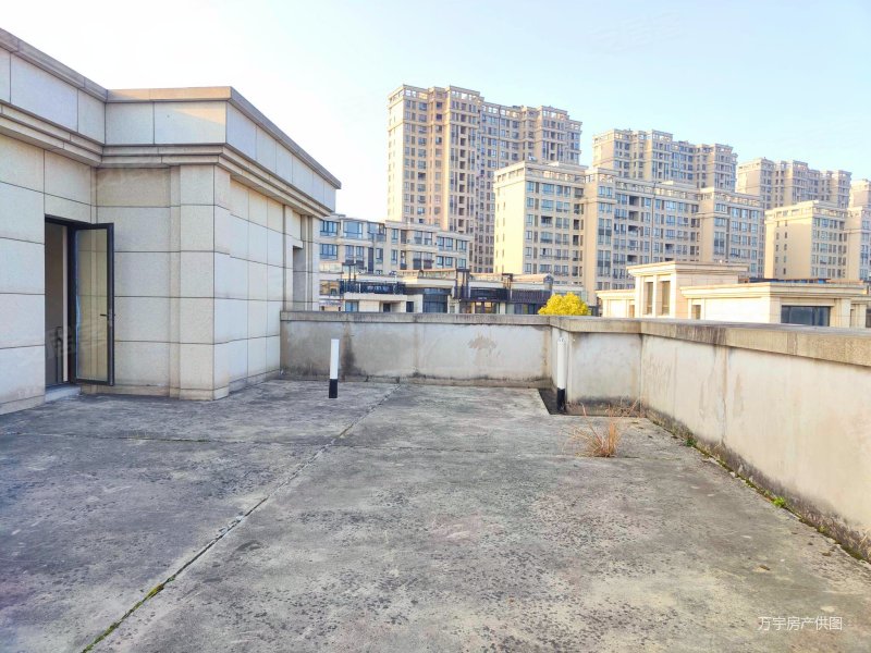 上海旁 太仓 独栋别墅 占地三亩