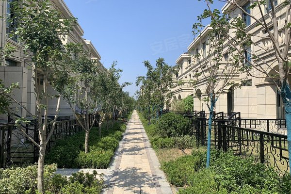 浮来春公馆(别墅),北京路-临沂浮来春公馆(别墅)二手房,租房-临沂安居