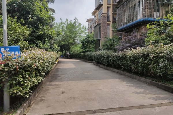 天远红树湾,黄桷路6号-泸州天远红树湾二手房,租房-泸州安居客