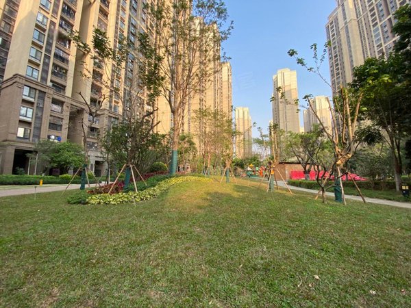 佛山南海金融高新区中海锦城笋租 中海锦城141方四房  拎包入住 安静