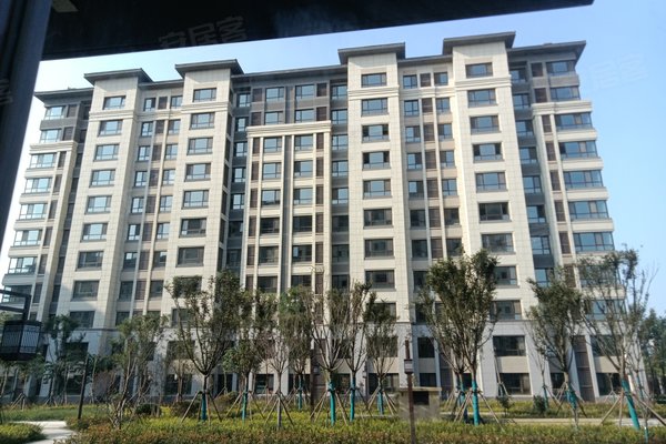 东营小区 广饶小区 城区小区 梧桐印象 0人觉得很赞2021年09月24日