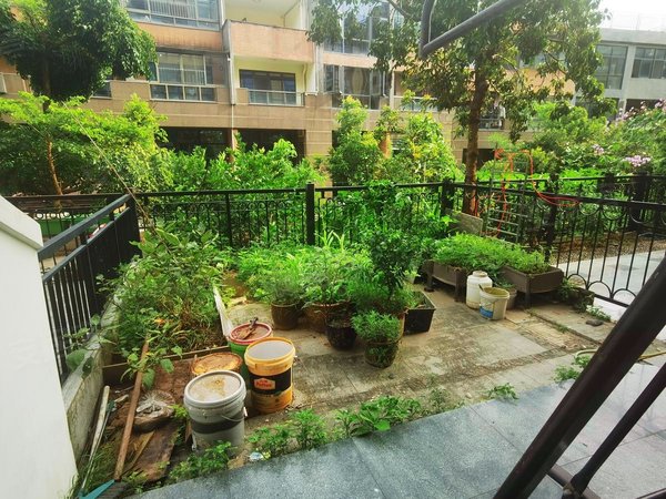 深圳龙岗平湖御峰园(别墅)水岸联排御峰园别墅,六层五房带电梯,前后