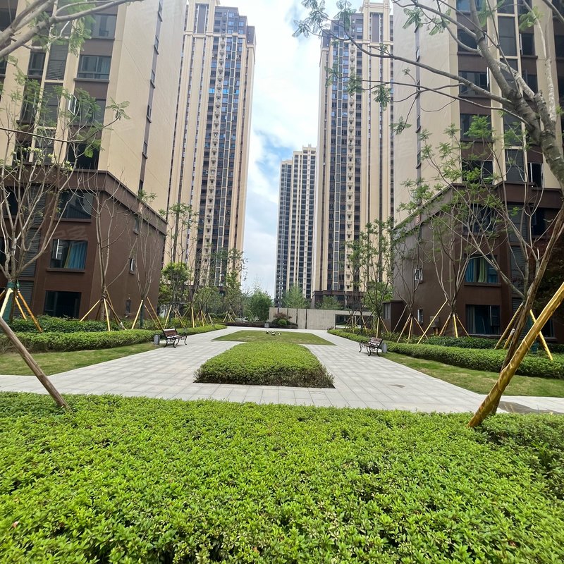 【正黄金域香江, 正黄金域香江小区详情,房价走势,房源,业主论坛】