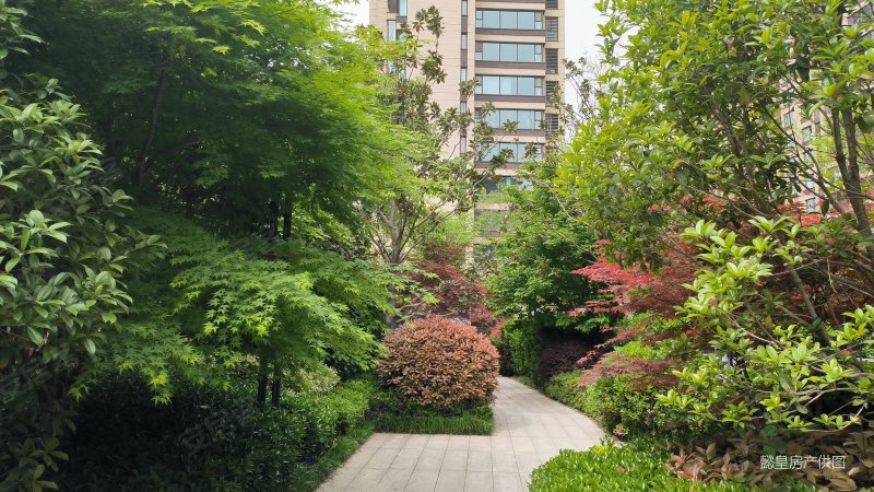 满二 有电梯 双卫生间 高楼层视野无遮挡 次新小区 商品房