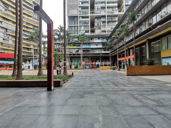 南宁青秀民族广场阳光100城市广场电梯房 普装 148平 4室 4000元每月