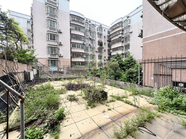 珠海香洲新香洲富华广场(北区)新香洲 带超大平台花园 3室2厅1卫