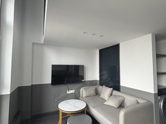 宁波鄞州中河新上印象城摩方loft,精装复式2室2卫,楼下万象汇宝龙广场出租房源真实图片