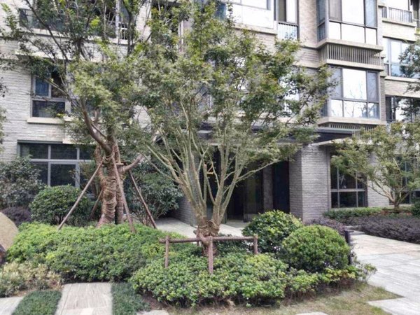 上海静安新客站苏河融景实图实价 i 苏河融景 i 一房两厅 次新网红