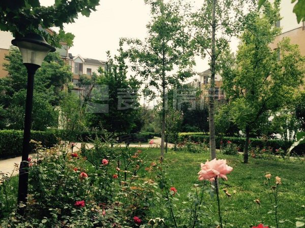 【多图】西山美墅馆(e区),香山租房,独栋别墅 5室2厅 西山美墅馆(e区)