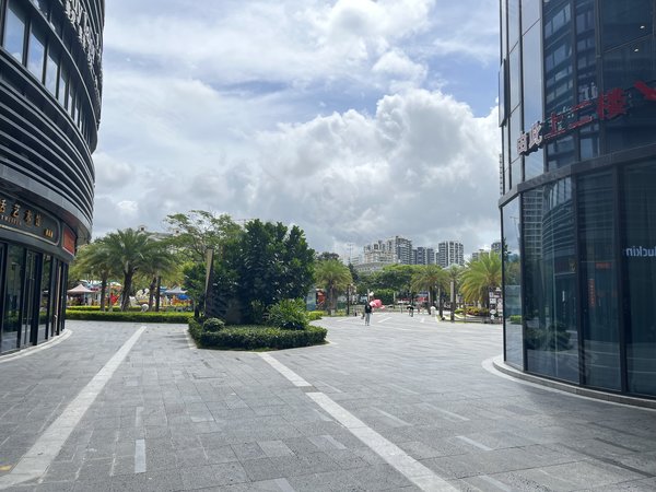 三亚吉阳迎宾路保利中铁中环广场市区保利中铁中环广场 2室1厅2卫 50