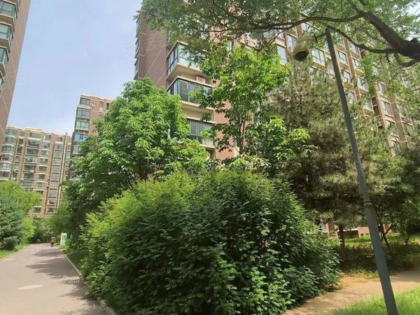 榆林榆阳阳光广场元驰世纪城元驰世纪城小区113平米单元出租,南北通透,电梯房出租房源真实图片