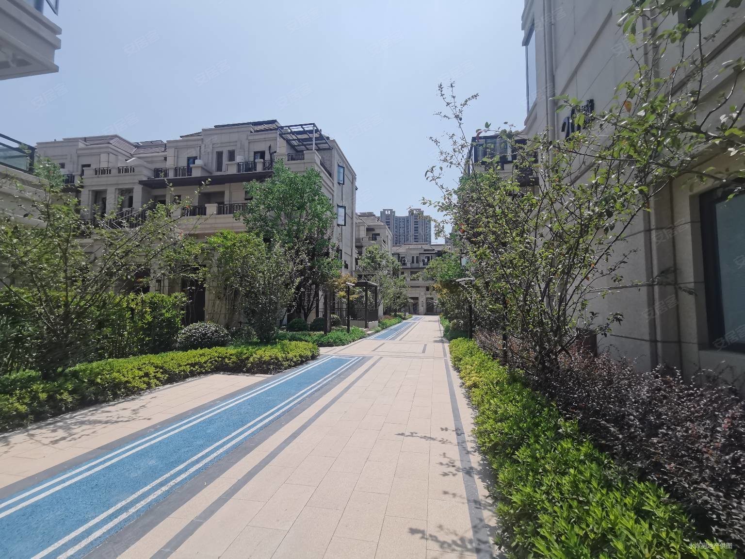 铂翠廷4室2厅3卫134.1㎡南北480万