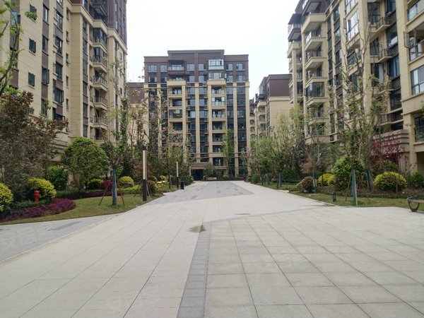 成都龙泉驿阳光城绿地新里桃溪川绿地桃溪川四室两卫出租一个空调出租