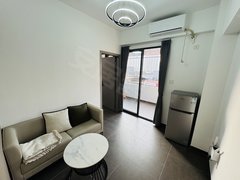 深圳龙岗坂田坂田奢华一房急租 押一付一民水电家私齐全拎包入住！出租房源真实图片