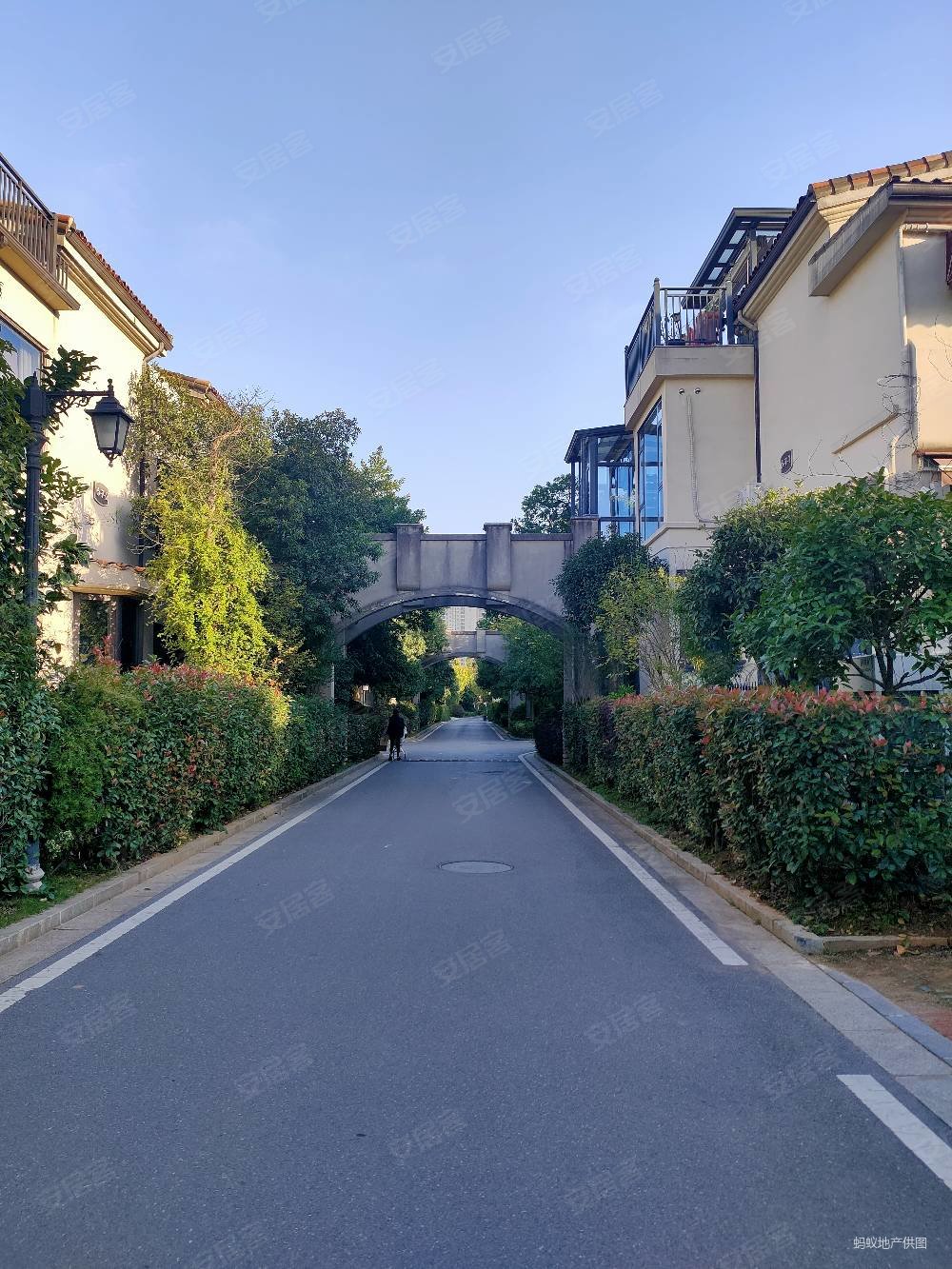 堤亚纳湾(别墅)4室2厅3卫251.7㎡南北520万