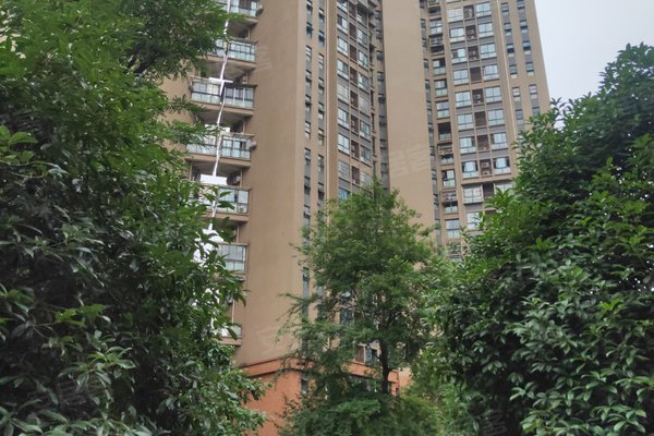 树高金沙首座a区小区