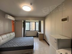 高沙路地铁站 新元金沙城精装整租一室公寓 可月付 可短租