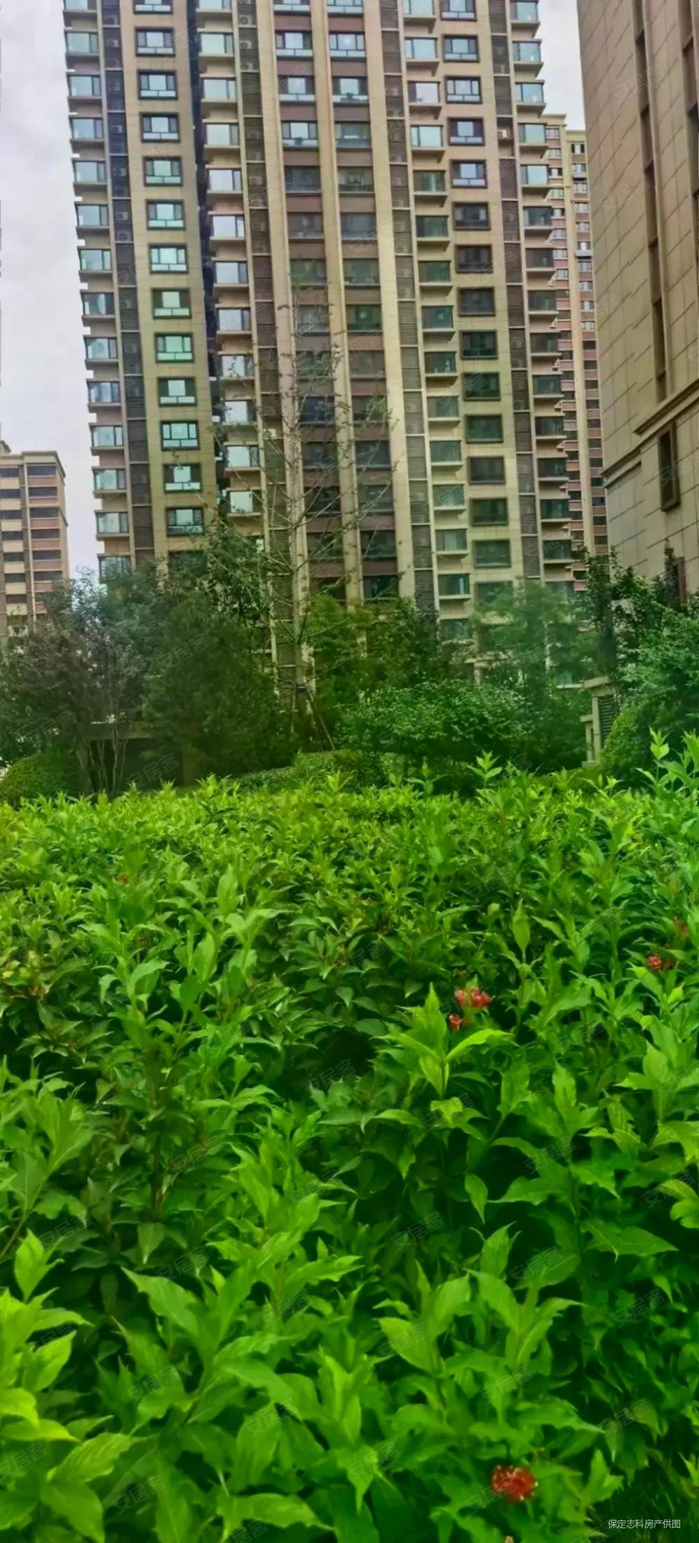 保定房产网>保定二手房>竞秀二手房>保定七中二手房>玉兰花园(玉锦园)