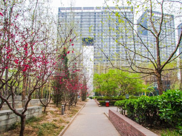 太阳宫 三元桥 正南2居室 uhn国际村 精装随时入住,朝阳租房-北京58